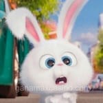 Avatar de Carla Rivera